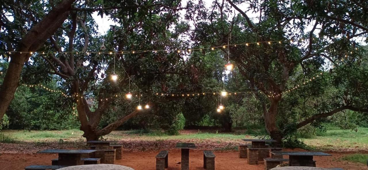 Art Forest Hotell Auroville Exteriör bild
