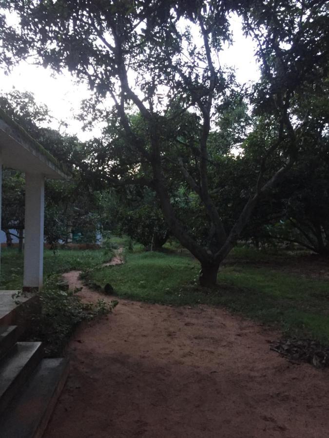 Art Forest Hotell Auroville Exteriör bild