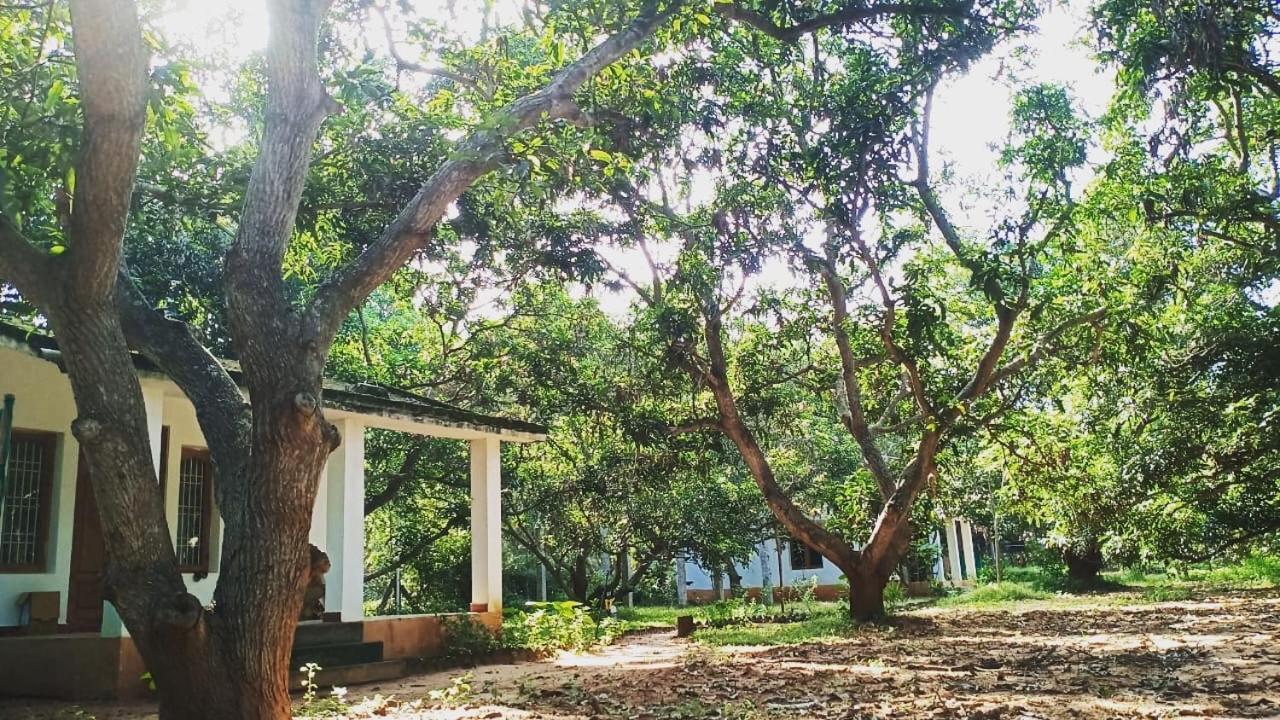 Art Forest Hotell Auroville Exteriör bild