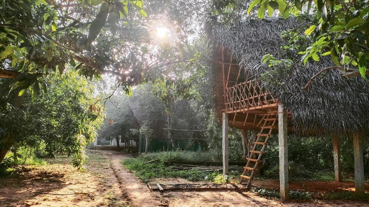 Art Forest Hotell Auroville Exteriör bild