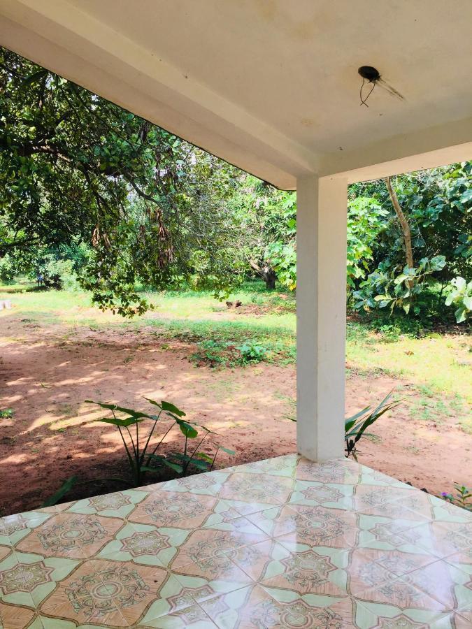 Art Forest Hotell Auroville Exteriör bild